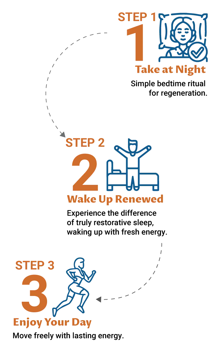 3-step infographic: Take at night to activate regeneration, wake up restored with vitality, and live actively all day with energy and mobility.