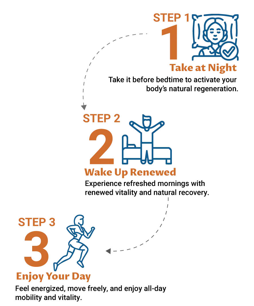 3-step infographic: Take at night to activate regeneration, wake up restored with vitality, and live actively all day with energy and mobility.