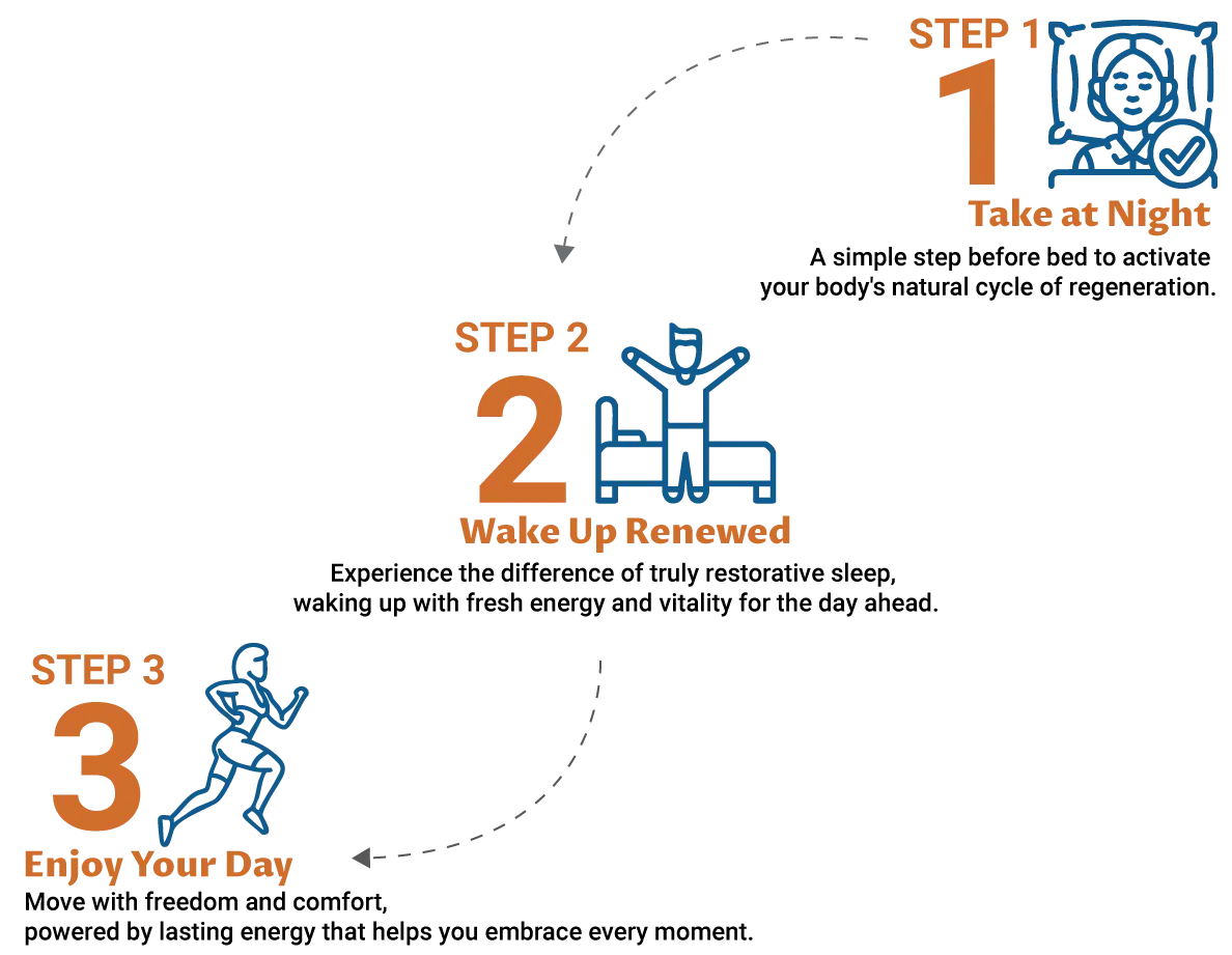 3-step infographic: Take at night to activate regeneration, wake up restored with vitality, and live actively all day with energy and mobility.