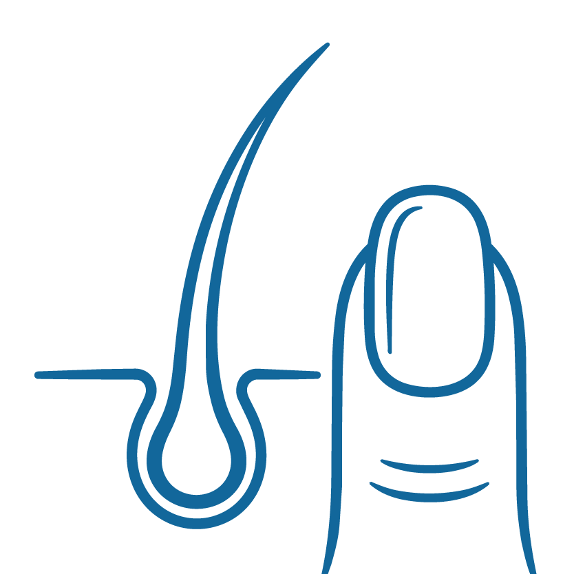 Minimalist blue icon illustrating a hair follicle and a healthy nail, representing hair and nail strength support.